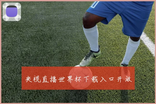 央视直播世界杯下载入口开放